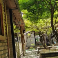 نیروی آقا و خانم