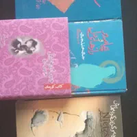 کتاب|کتاب و مجله تاریخی|تهران, بهارستان|دیوار