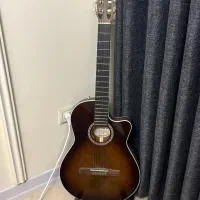 گیتار گلدن آرنا cw