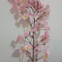 کار درمنزل