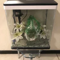 اکواریوم با وسایل و پمپ اب