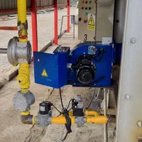 خدمات تخصصی مشعل دیگ بخار بویلر و کوره های پخت