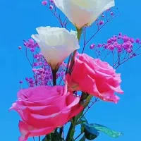 فیش حج تمتع شهریور 86