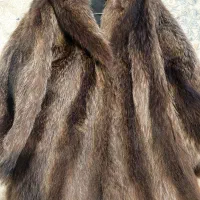 زمستانی