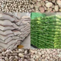 پخش عمده حبوبات با قیمت همکاری