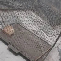 قفس پرنده