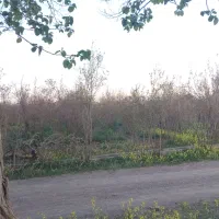 زمین فروشی خسروجرد