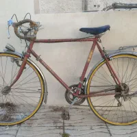 دوچرخه کورسی پلیکانPelicanاصل