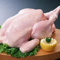 مرغ خوردکن‌