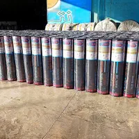 ایزوگام/ایزوگام شرق/نصب ایزوگام/لکه گیری حتی یکمتر