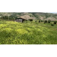 زمین-مسکونی-در-لوکیشن-فوق-العاده-عالی-با-کلبه