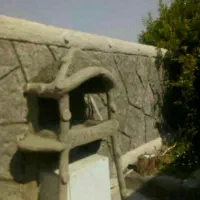 پلاسترنمایی|خدمات پیشه و مهارت|برازجان, |دیوار