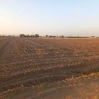 فروش زمین کشاورزی آبی|فروش دفتر صنعتی، کشاورزی، تجاری|بهار, |دیوار