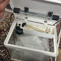 اکواریوم کوچک و بزرگ با لوازم|ماهی|مشهد, امیریه|دیوار