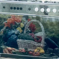 اجاق گاز فردار