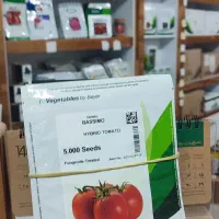 بذر گوجه بریویو باسیمو بدرو برنتا|عمدهفروشی|بندرعباس, |دیوار