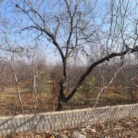 باغ بر جاده خوی چالدران|فروش زمین و ملک کلنگی|فیرورق, |دیوار