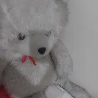 عروسک خرسی بزرگ