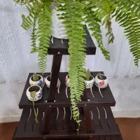 استند گل|کتابخانه، شلف، قفسه‌های دیواری|همدان, |دیوار