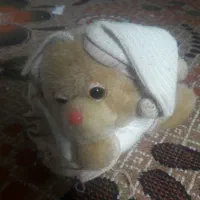 یک عدد گربه تمیز
