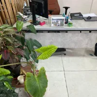 کارشاس فروش