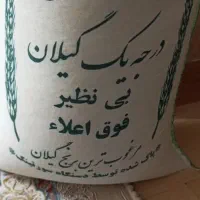 برنج هاشمی گیلان|خوردنی و آشامیدنی|تهران, شارق|دیوار