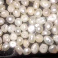 مروارید باروک شناسنامه دار قدیمی|جواهرات|جعفرآباد, |دیوار