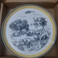 دیس های چینی بسیار زیبا و دیس ماهی نو با جعبه