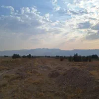 زمین کشاورزی بهترین راه برای سرمایه گذاری|فروش دفتر صنعتی، کشاورزی، تجاری|شیراز, وزیرآباد|دیوار