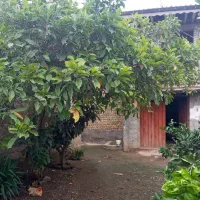 خانه ویلایی دوبلکس|فروش خانه و ویلا|تولم شهر, |دیوار