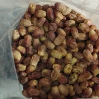 خرمای زاهدی به قیمت عمده