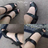 کفش مجلسی
