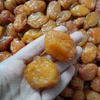 آلوی درشت و گوشتی|عمده‌فروشی|مشهد, کارمندان دوم|دیوار