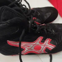 لباس کُشتی با کتونی لباس بوکس با دستکش|تجهیزات ورزشی|پاکدشت, حصار امیر|دیوار