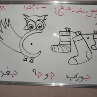 تدریس پایه اول تا ششم ابتدایی