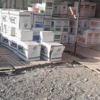 توالت فرنگی و کاسه توالت|لوازم سرویس بهداشتی|تهران, دولتخواه جنوبی|دیوار