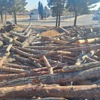 بریدن خرید و فروش چوب