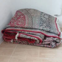 قالی