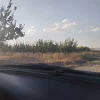 گمشده