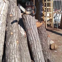 چوب ودرخت|خدمات باغبانی و درختکاری|ساوه, |دیوار