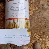 سم فروشی زیر قیمت بازار