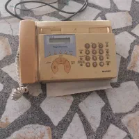 یک عدد فاکس و باند