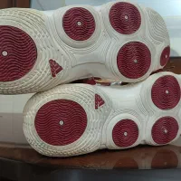 کتونی آدیداس ۵۱|کیف، کفش، کمربند|شمشک, |دیوار