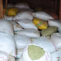 کاه یونجه گوسفند و بره