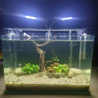 اکواریم و لوازم اکواریم