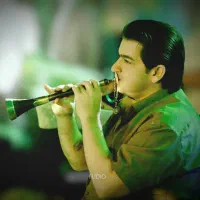 گروه موسیقی محلی ساز دهل کمانچه تنبک بانددیجی