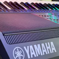 کیبوردارگ|پیانو، کیبورد، آکاردئون|بجنورد, |دیوار