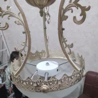 لوسترپنج شاخه