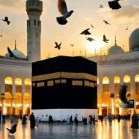 کسی کتب کلاس دوم داره هدیه های آسمانی تماس بگیره