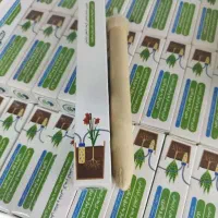 آبخوان آبیاری|گل و گیاه طبیعی|اهواز, کوروش|دیوار